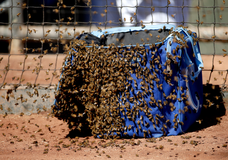 Photo via AP